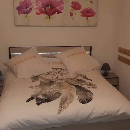 Les Schotzalas Appartement Ribeauvillé